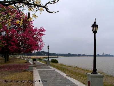 Laguna Setúbal