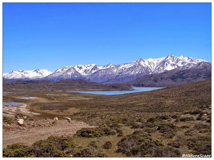 Laguna de General Belgrano