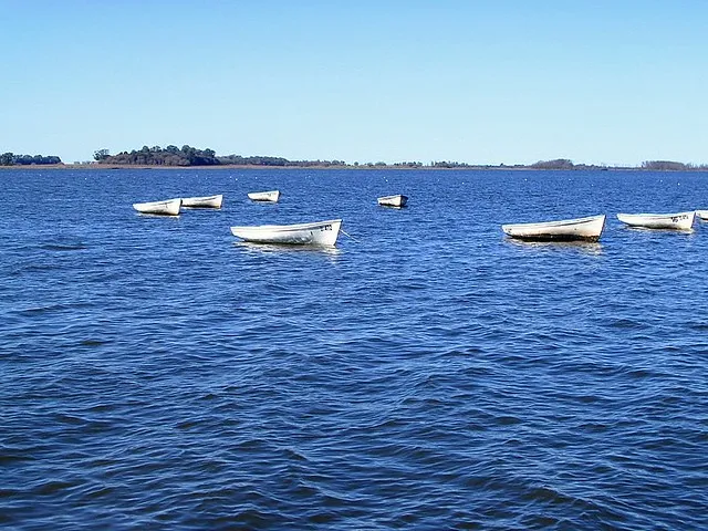 Laguna de Lobos