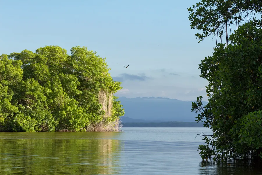 Laguna de Tacarigua National Park
