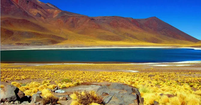 Lagunas Altiplánicas (Miscanti and Miñiques)