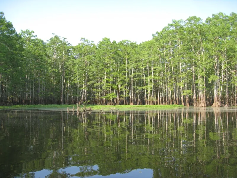 Lake Beaverfork