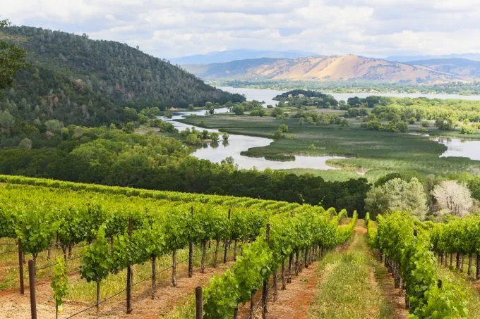 Lake Breeze Wines
