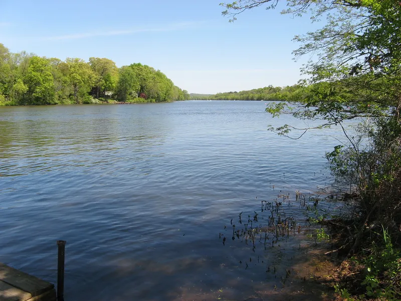 Lake Carnegie