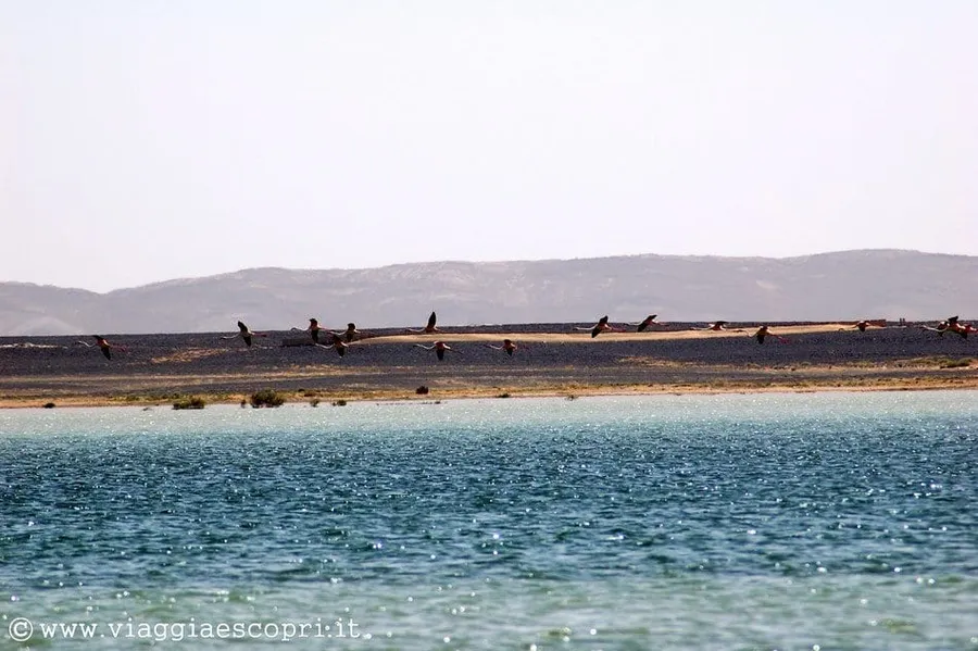 Lake Dayet Srji