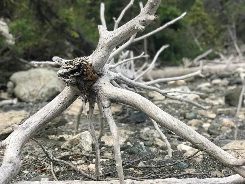 Lake Eklutna