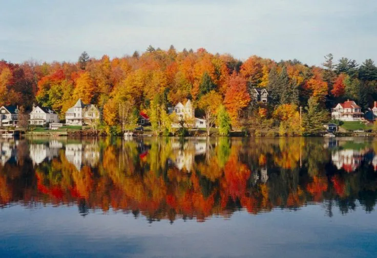 Lake Flower