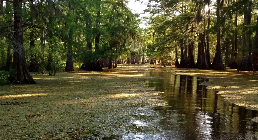 Lake Martin