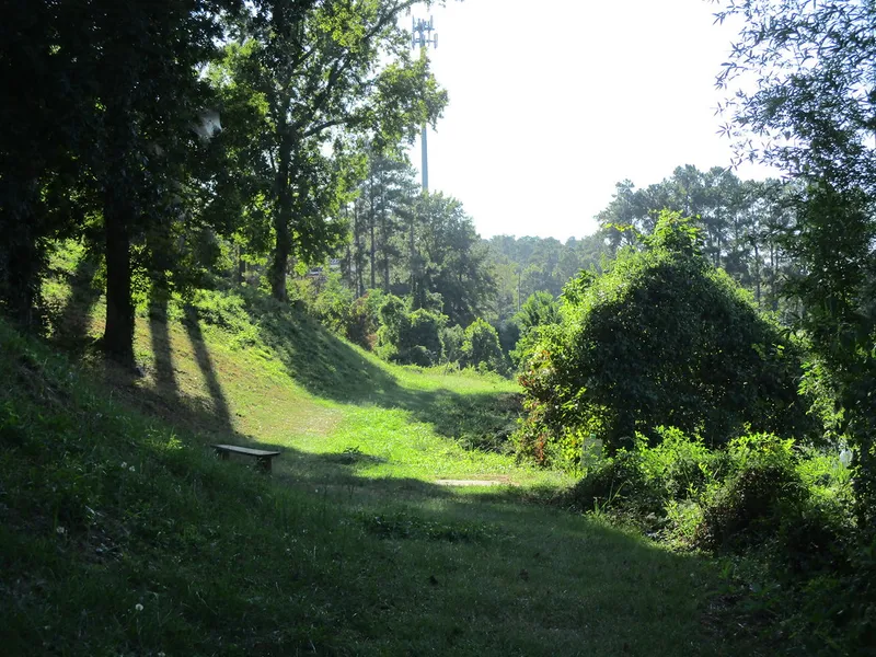 Lake Olmstead