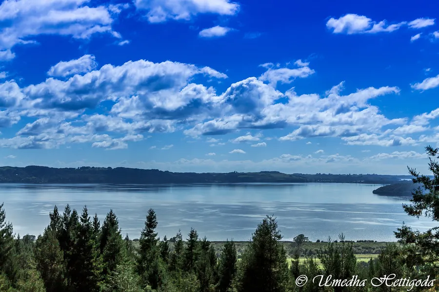 Lake Rotorua