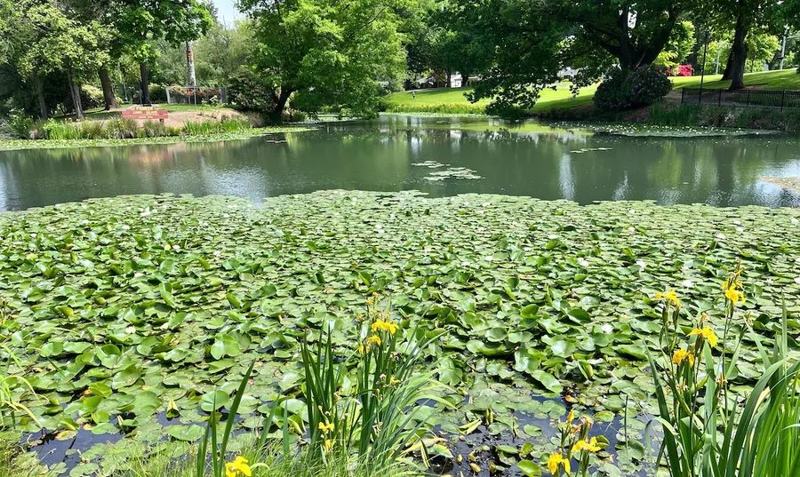 Lake Sacajawea Park