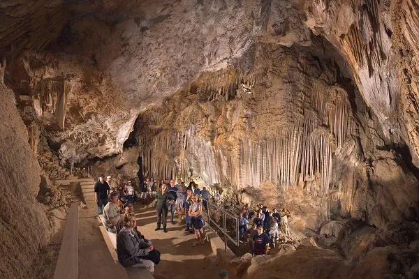 Lake Shasta Caverns