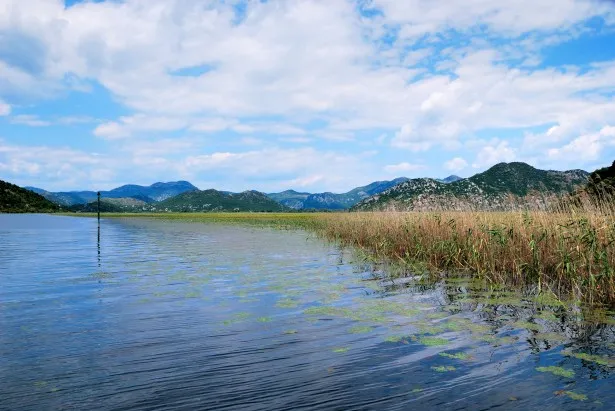 Lake Skadar