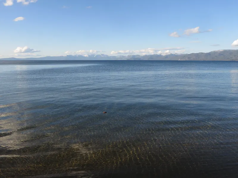 Lake Tahoe Balloons