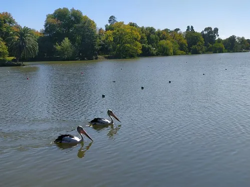 Lake Weeroona