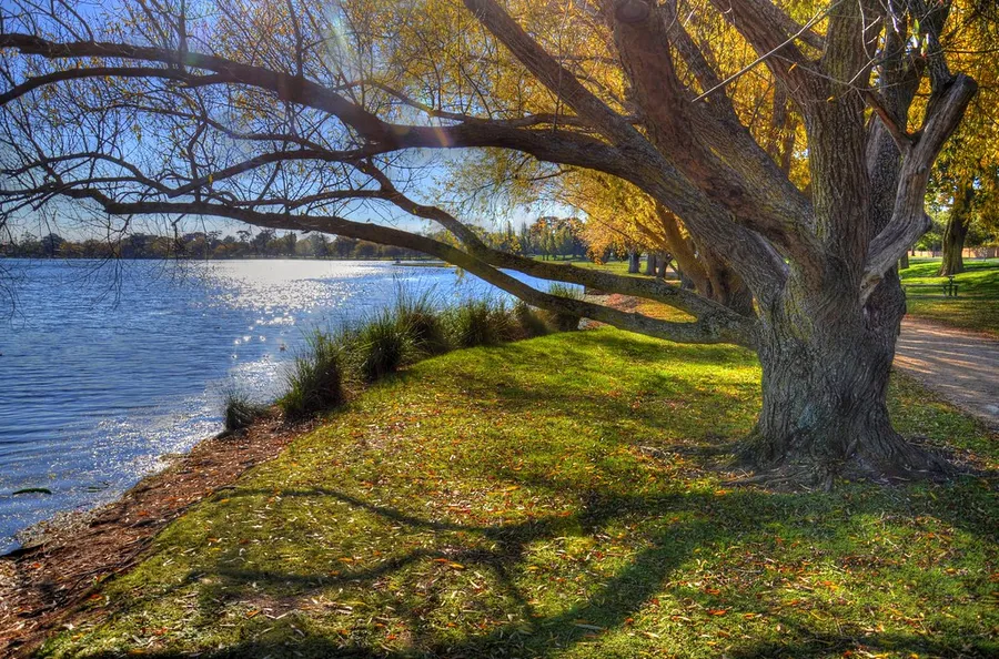 Lake Wendouree