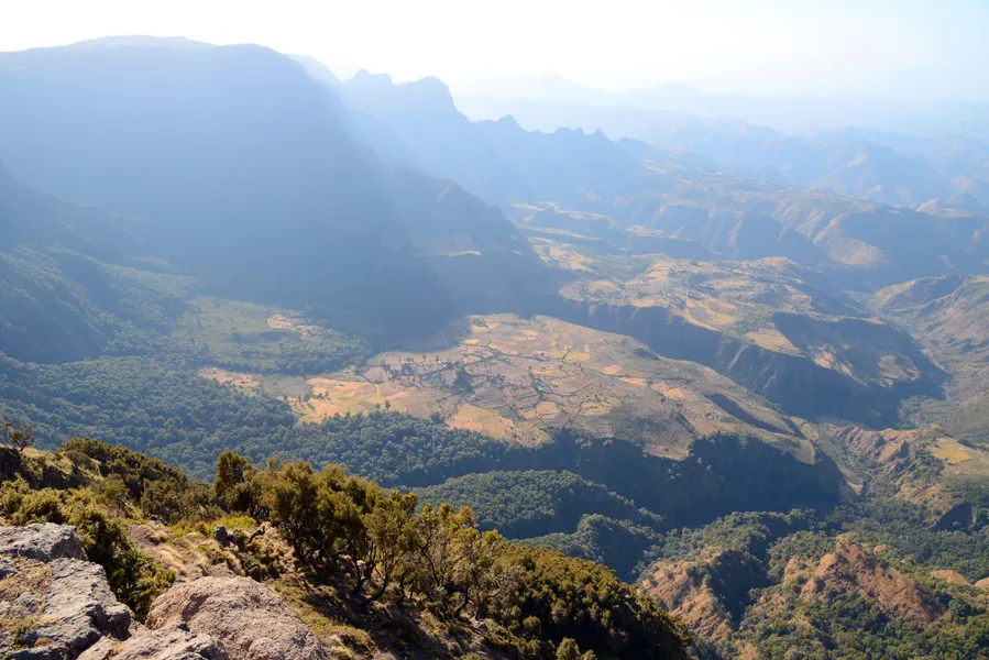 Lammergeier Viewpoint