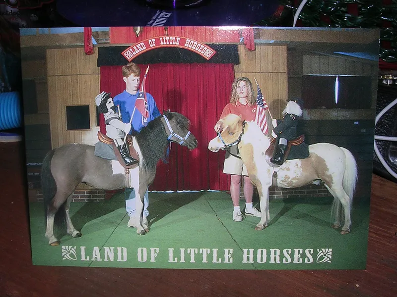 Land of Little Horses
