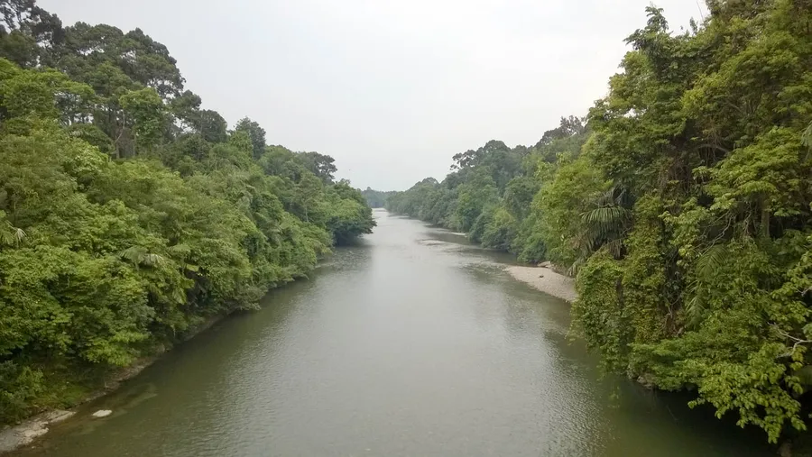 Landak River