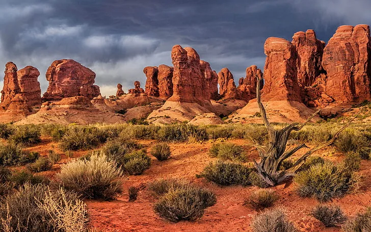 Landscape Arch