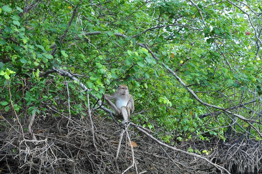 Langkawi Wildlife Park