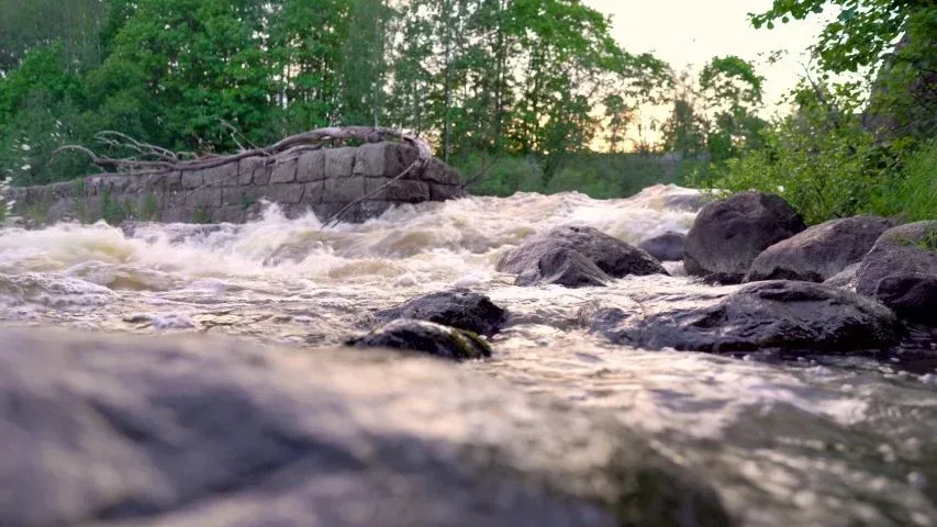 Lankoski rapids