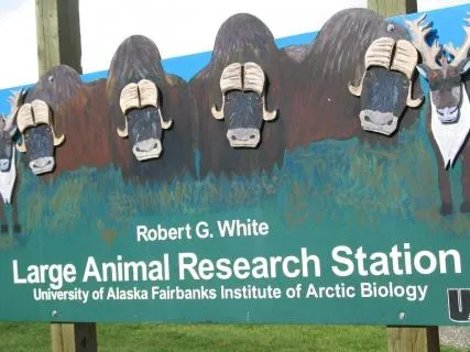 Large Animal Research Station (LARS)