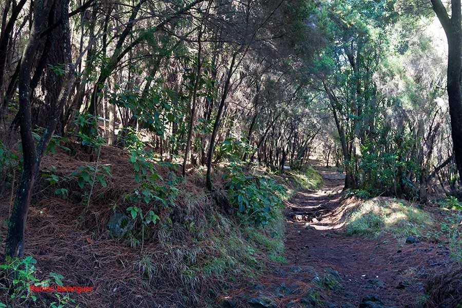 Las Cañadas Campground