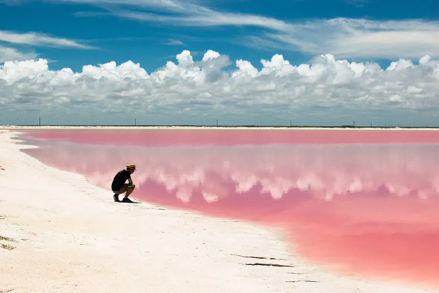 Las Coloradas Pink Lakes