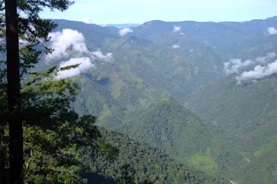 Las Guacamayas Biological Station