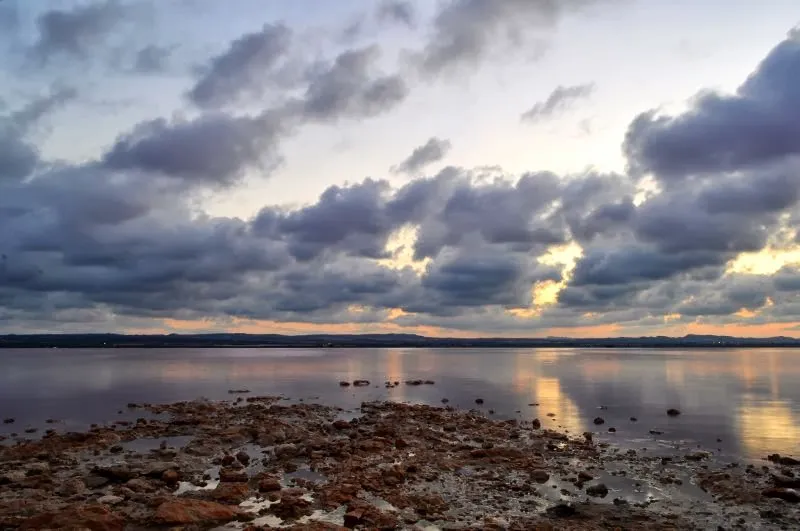 Las Salinas de Torrevieja