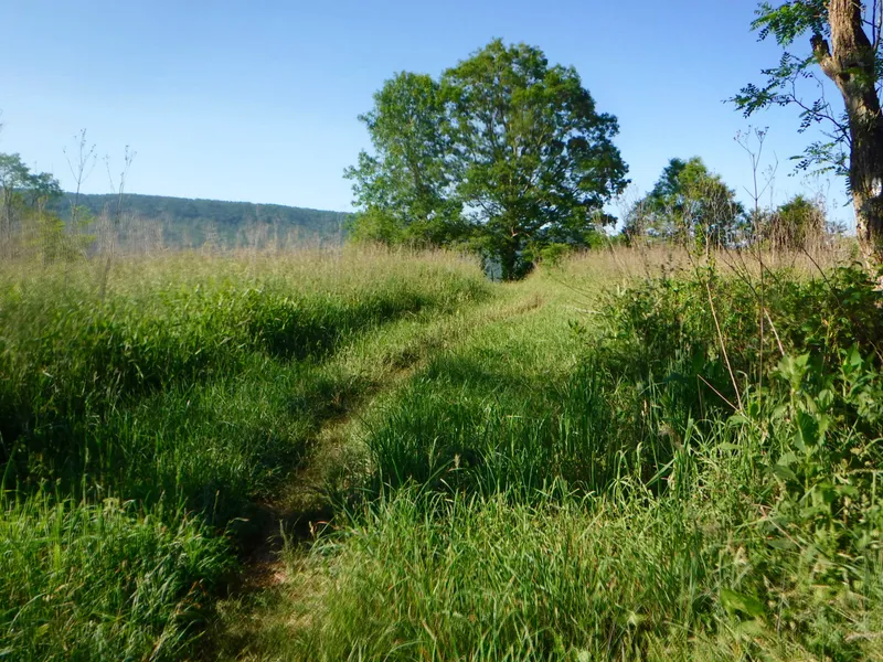 Laurel Creek Conservation Area