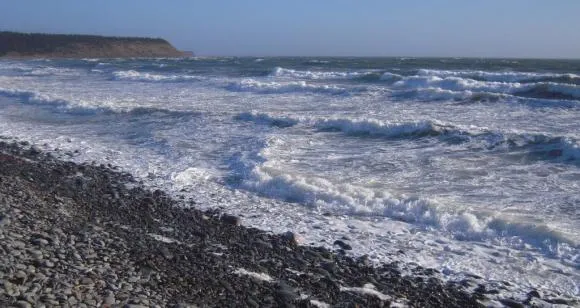 Lawrencetown Beach