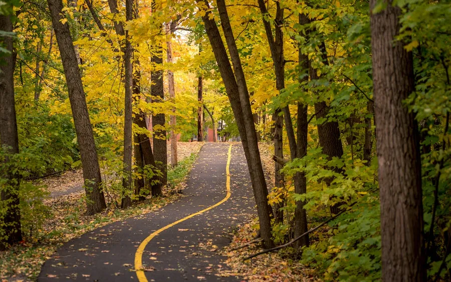 Le Parc de la Bouvaque