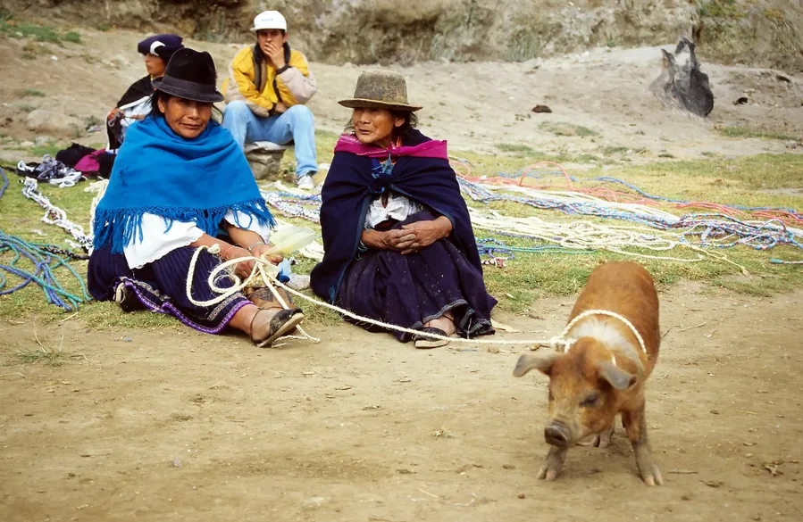 Leather Market of Cotacachi