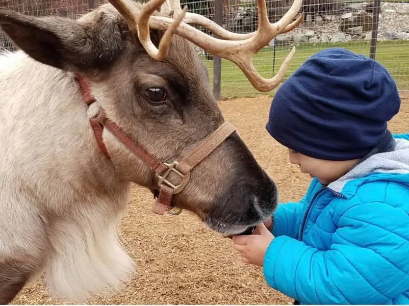 Leavenworth Reindeer Farm