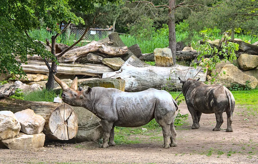 Leipzig Zoo