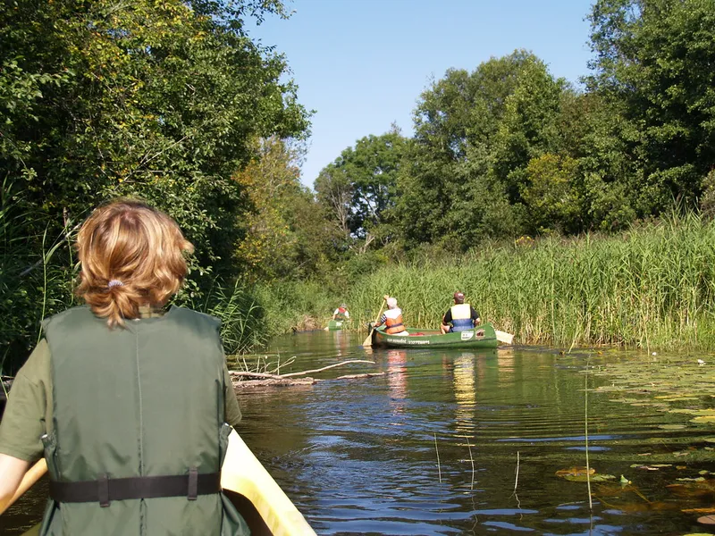Lemmjogi River