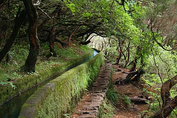 Levada Fajã do Rodrigues