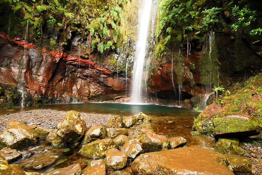 Levada Walks
