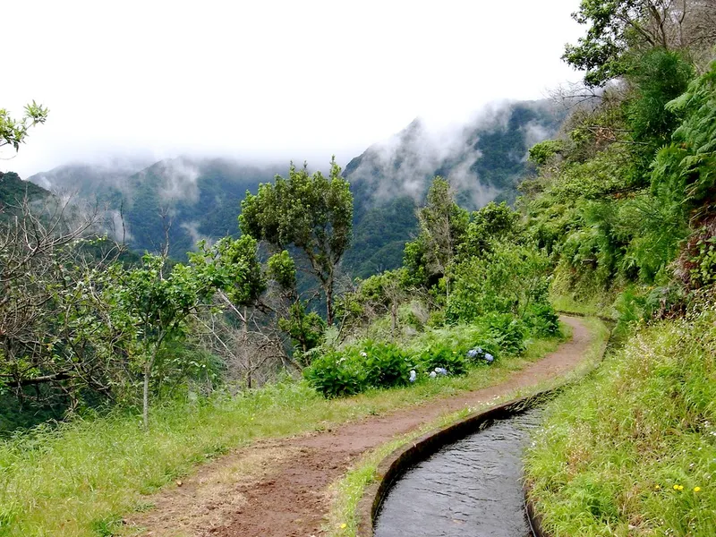 Levada da Ribeira da Janela
