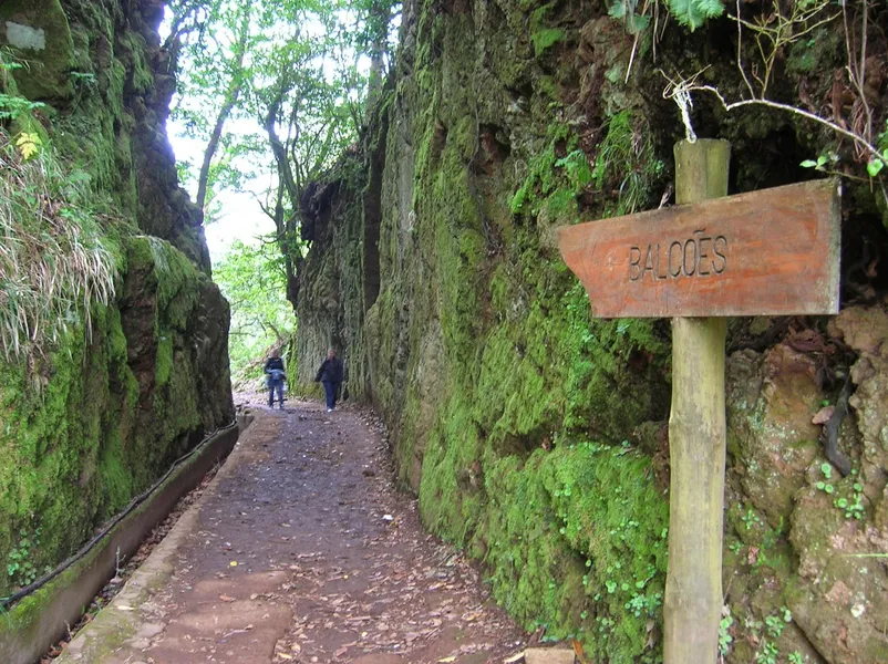 Levada dos Balcões Trail (PR11)
