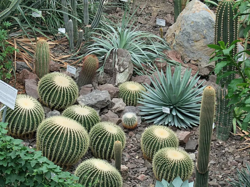 Liberec Botanical Garden
