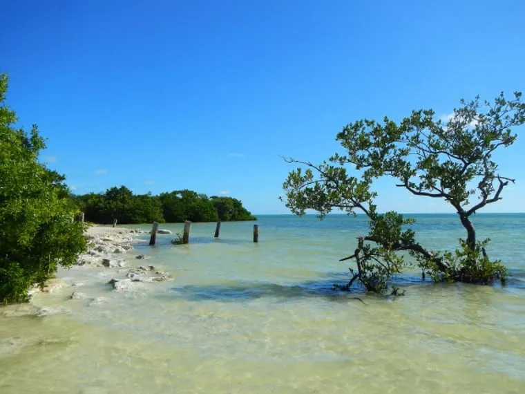 Lignumvitae Key Botanical State Park