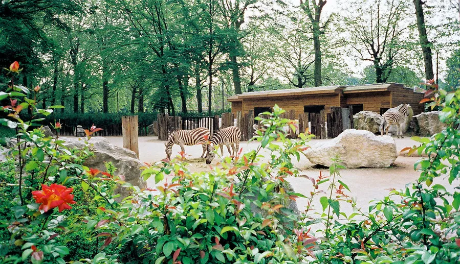 Lille Zoo