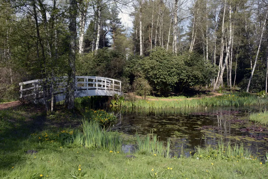 Lily Pond Preserve