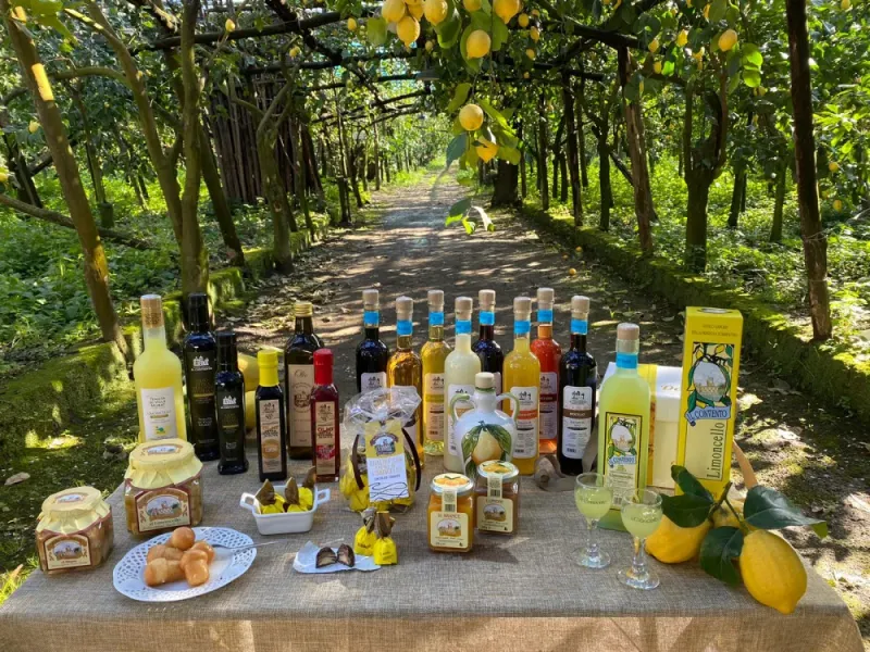 Limoncello Tasting
