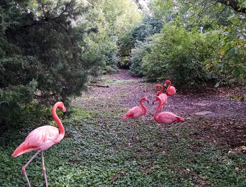 Lincoln Children's Zoo