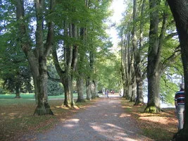 Lindenhof Park