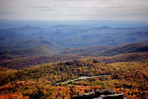 Linville Gorge Wilderness Area